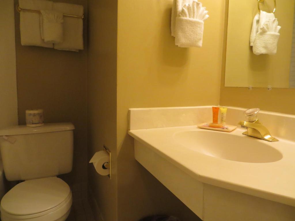 Athabasca Hotel Jasper Quarto foto